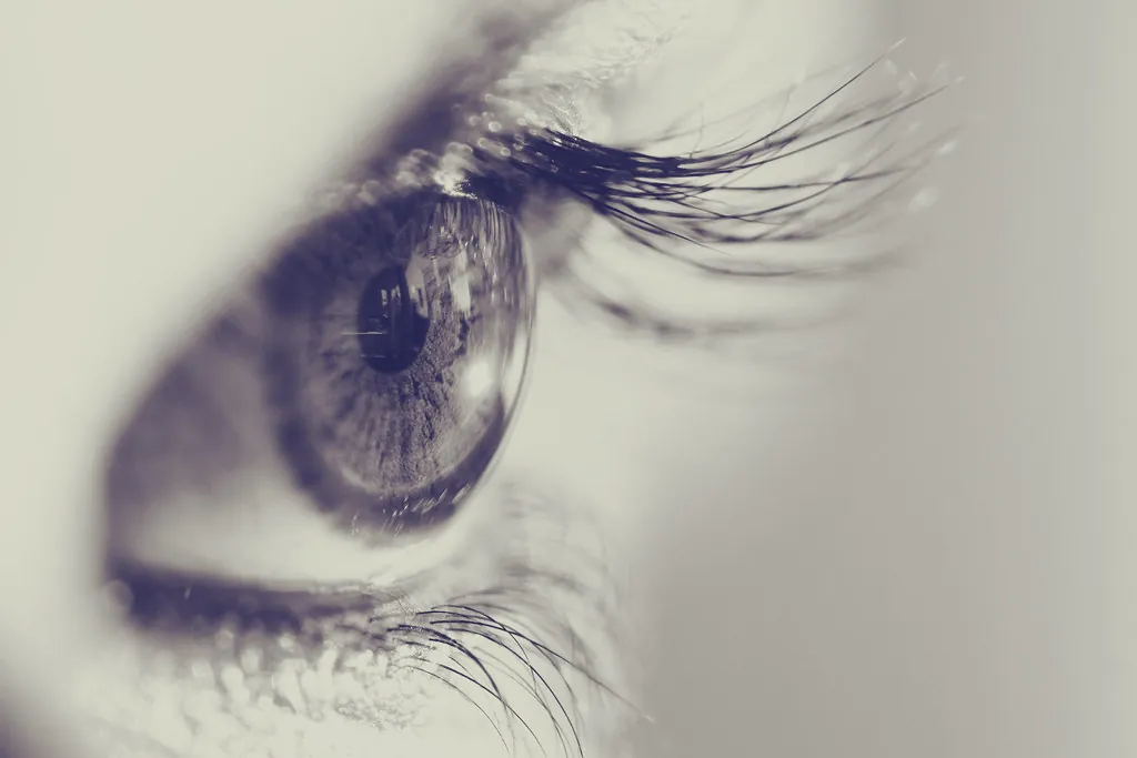 A lash and brow detail